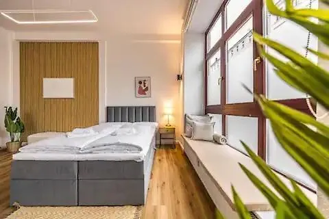 Ruhige Und Stilvolle Am Clara-zetkin-park 莱比锡