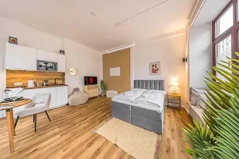 公寓 Ruhige Und Stilvolle Am Clara-zetkin-park 莱比锡