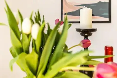 Ruhige Und Stilvolle Am Clara-zetkin-park *