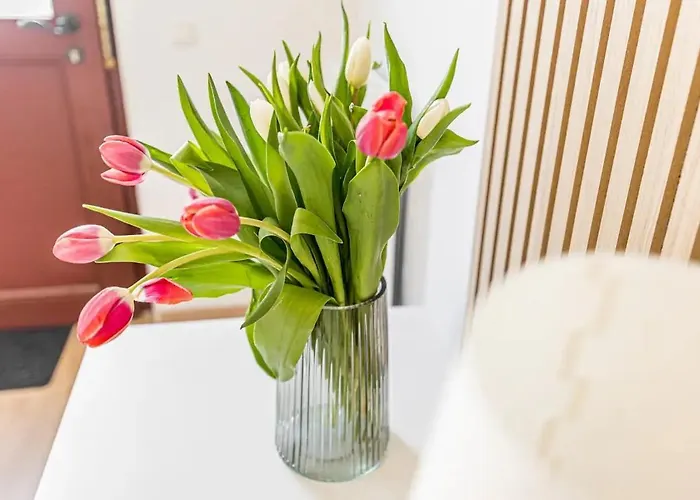 Ruhige Und Stilvolle Am Clara-zetkin-park *