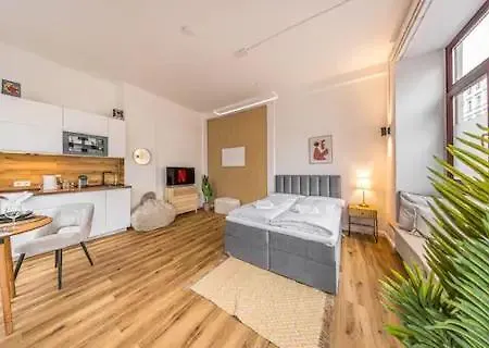 Apartment Ruhige Und Stilvolle Am Clara-zetkin-park Leipzig