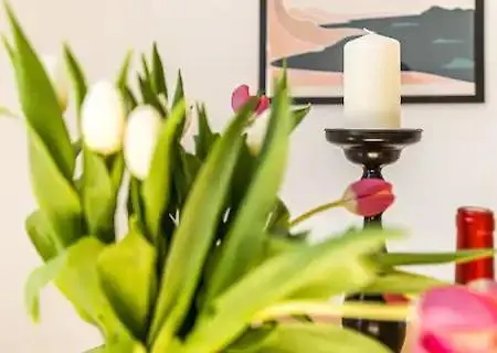 Ruhige Und Stilvolle Am Clara-zetkin-park *