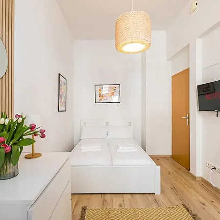 Apartment Ruhige Und Stilvolle Am Clara-zetkin-park Leipzig