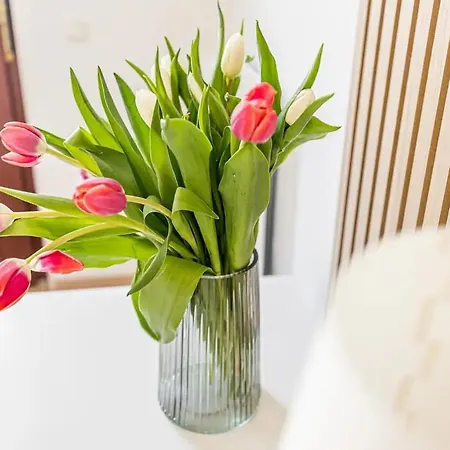 Ruhige Und Stilvolle Am Clara-zetkin-park *